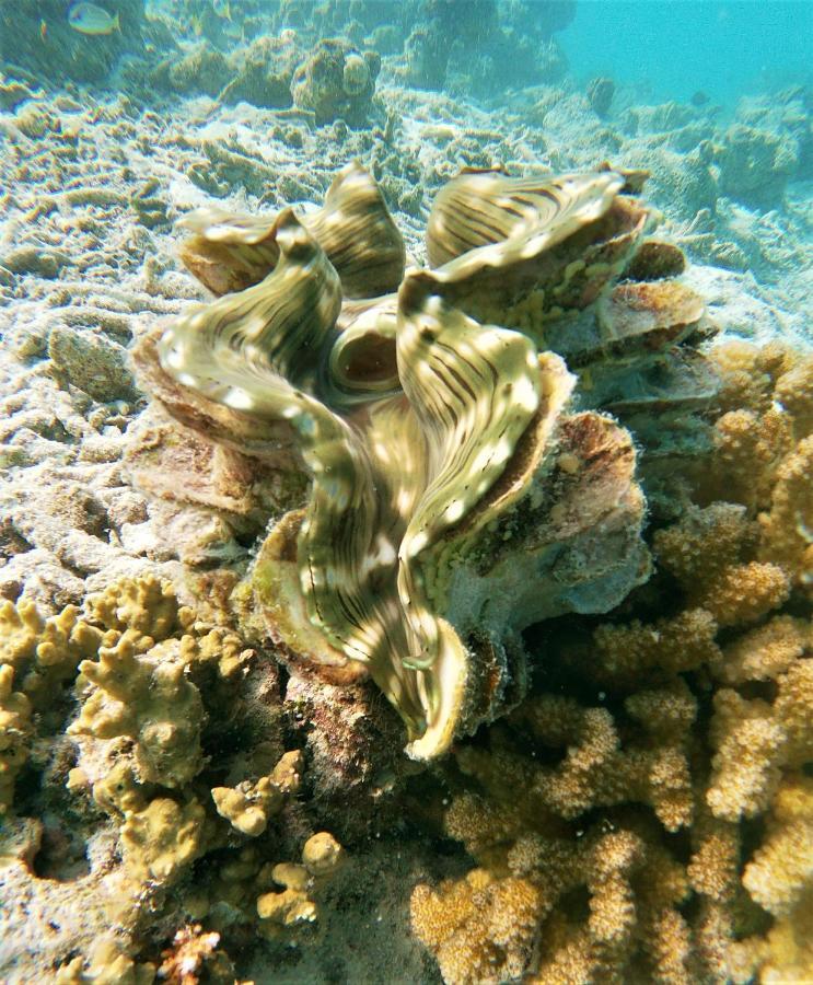 One The Island Hotel Naifaru Exterior foto