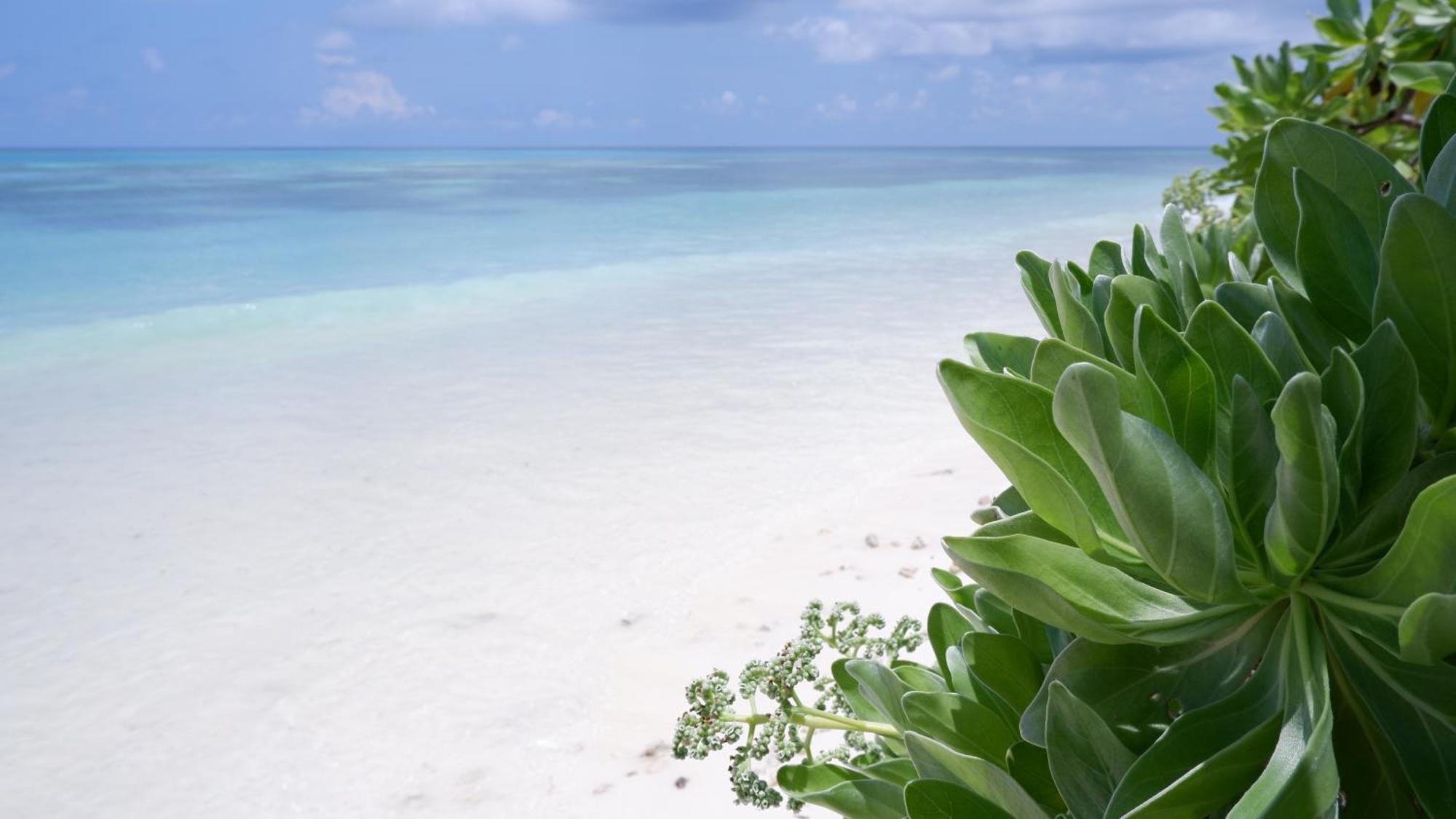 One The Island Hotel Naifaru Exterior foto